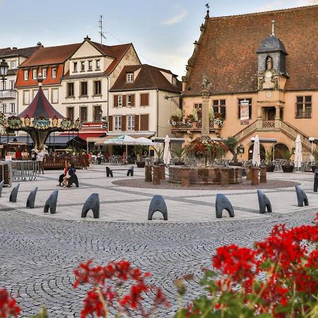 Studio Cosy A Molsheim Calme, Centre-Ville Et Acces Strasbourg Buitenkant foto
