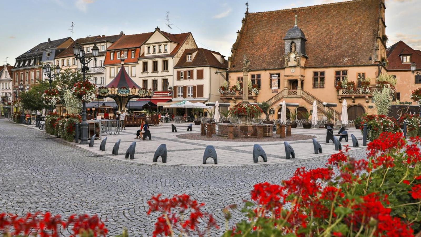 Studio Cosy A Molsheim Calme, Centre-Ville Et Acces Strasbourg Buitenkant foto